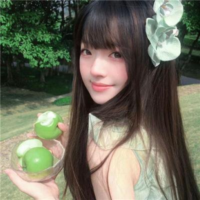 飞燕金鎗