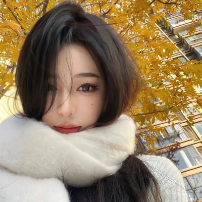 新灵犬莱西